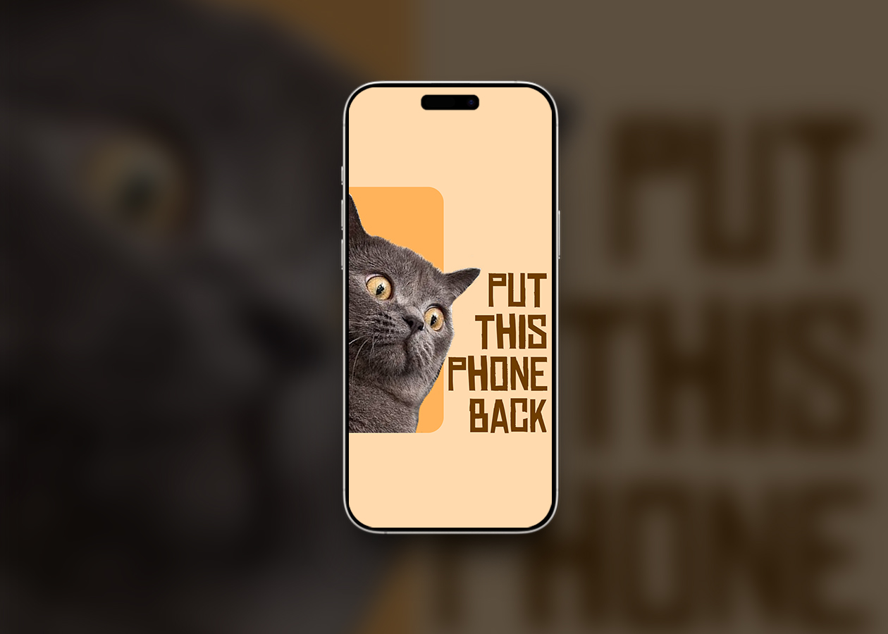 Put this phone back