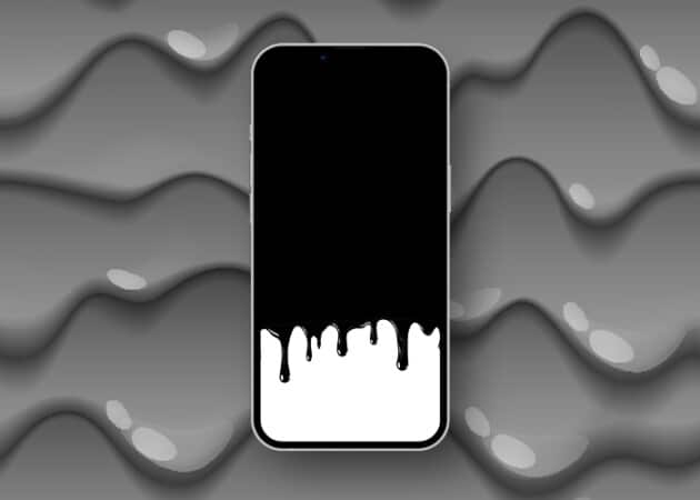 Black white swag pack 630x450 1 Black & White swag pack
